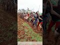 Digging in Rhythm: How Farmers Turn Tilling Into a Synchronized Field Dance