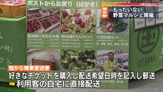 東京駅　もったいない野菜マルシェ開催