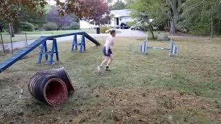 commitment to a spin 2
