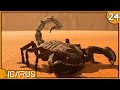 ME ATACA UN ESCORPION GIGANTE | Icarus [24] | Gameplay español