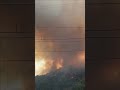 Koolewong Bushfire Destroys Homes on NSW Central Coast 🚒