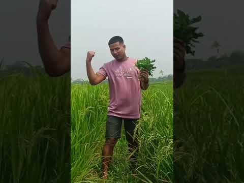 green vegetable this short video