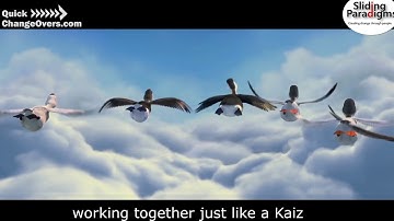 Quick Changeover course Birds of a feather