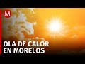 Video de Morelos