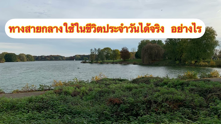 ทาง สาย กลาง เศรษฐกิจ พอ เพียง ตัวอย่าง