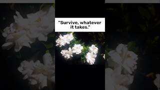 Survive, Whatever It Takes