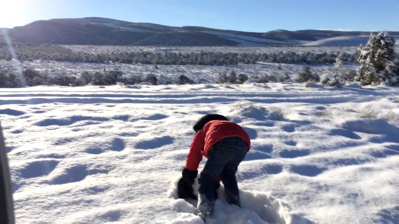 UTAH COW ELK HUNT YouTube utah-cow-elk-hunt-youtube
