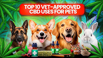 𝗧𝗼𝗽 𝟭𝟬 𝗩𝗲𝘁-𝗔𝗽𝗽𝗿𝗼𝘃𝗲𝗱 𝗖𝗕𝗗 𝗨𝘀𝗲𝘀 𝗳𝗼𝗿 𝗣𝗲𝘁𝘀: 𝗦𝗮𝗳𝗲 𝗦𝗼𝗹𝘂𝘁𝗶𝗼𝗻𝘀 𝗳𝗼𝗿 𝗔𝗻𝘅𝗶𝗲𝘁𝘆, 𝗣𝗮𝗶𝗻, & 𝗠𝗼𝗿𝗲