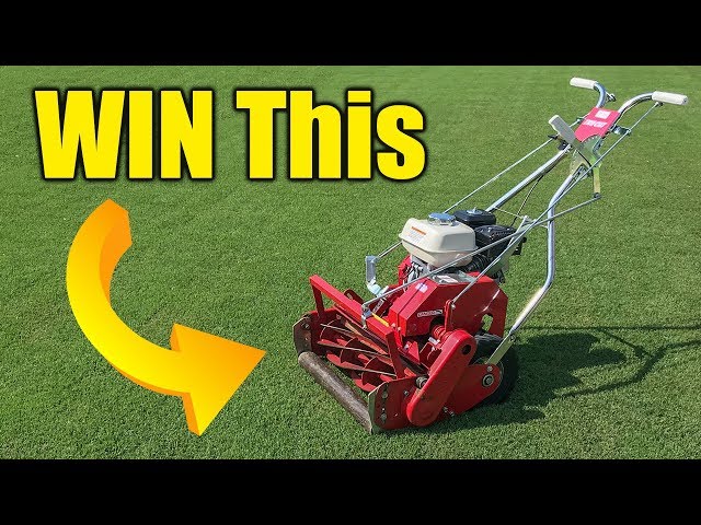 Power Reel Mower 