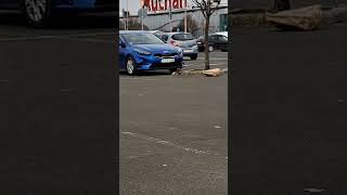 A Kíváncsiság The Curiosity