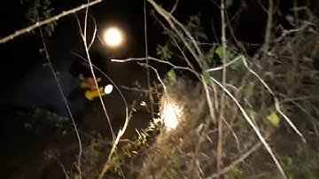 Một đêm bắt rắn không mong muốn, buồn quá |catch snake by hand| Bông lúa Miền Tây