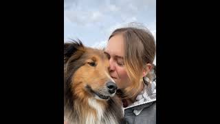 VDH Shelties vom Ponyhügel: Cody vom Ponyhügel 2023! by Christine Spranger 270 views 4 months ago 1 minute, 41 seconds