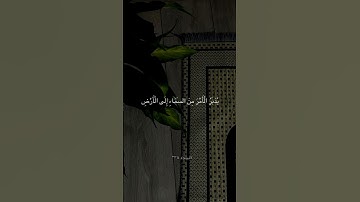 (اللَّهُ الَّذِي خَلَقَ السَّمَاوَاتِ وَالْأَرْضَ) تلاوة هادئة من سورة السجدة~