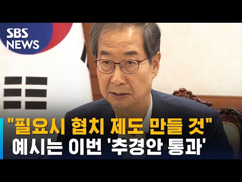 한덕수 &amp;quot;필요시 여야 원내대표 · 정부 협치 <strong>제도</strong> 만들 것&amp;quot; / <strong>SBS</strong>