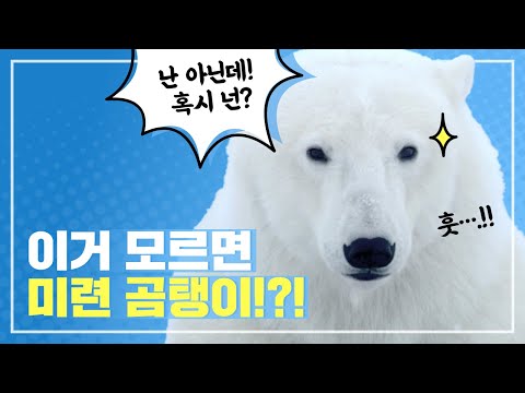 [<strong>천재교과서</strong> 사회] 내가 사는 우리 동네, 제대로 알고싶다면?