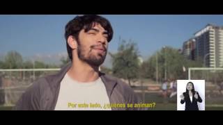Comercial Censo 2017 122016