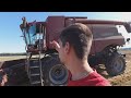 #29 Dar viena javapjūtės diena- pradėjom Informerį | Case ih Axial Flow 9230