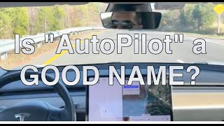 Autopilot Naming Discussion - Driving on FSDBeta screenshot 5