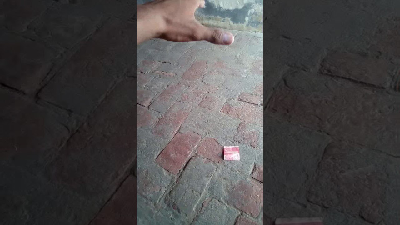 Best  magic trick 