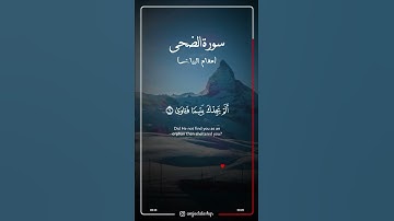 القارئ أمجد الأشقر | سورة الضحى (مقام البيات)