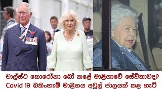 චාර්ල්ස්ට කොරෝනා බෝ කළේ මාලිගාවේ සේවිකාවද? screenshot 2