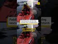 Paddleboarder and dog rescued from base of a cliff during a thunderstorm