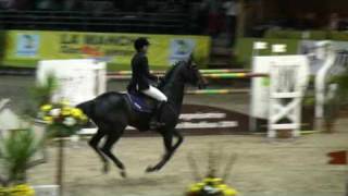 ♥ Herald 3 - Jumping Horse By Heraldik