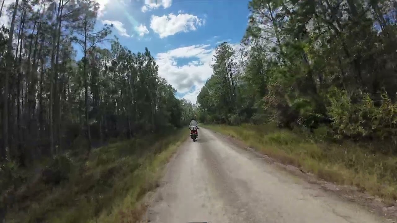 Motorcycle Ride Footage - 2025-10-17 - Tiger Bay State Forest, FL