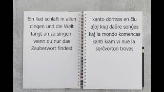 Wünschelrute germana leciono en Esperanto