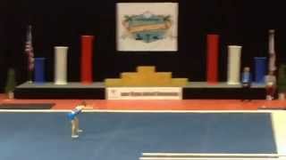 2015 JE National Championships
