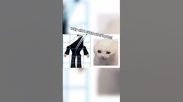 guys help my cat keeps meowing and being depressed