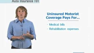 Auto Insurance 101