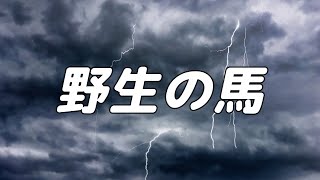 野生の馬