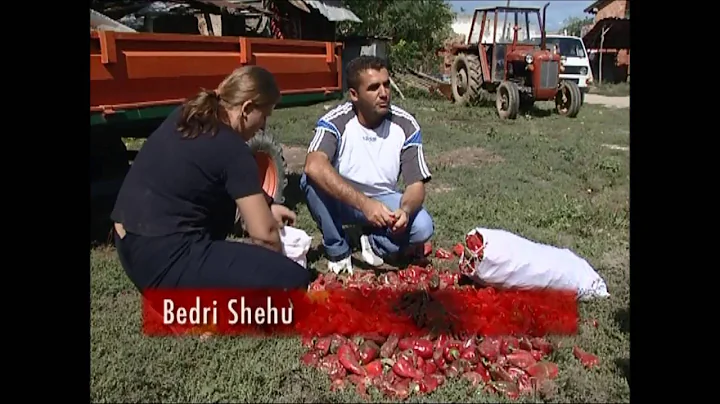 why women count | women of Krusha | Kosovo