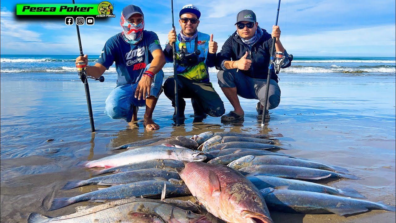 PESCA de PLAYA con MINNOW // PESCA de CURVINAS ROBALO y PARGO !!