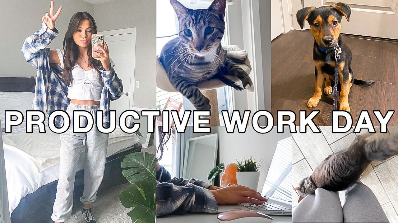 PRODUCTIVE WORK DAY IN MY LIFE (Rover pet sitting) YouTube