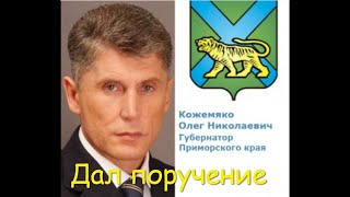Поручение губернатора Приморского края данное в декабре 2018 года.