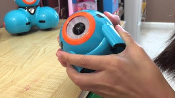 First day with Dot  - Wonder Workshop Dash & Dot Robot Wonder Pack