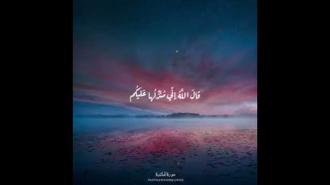 سورة المائدة للشيخ هادي آل عسكر
