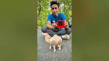 Rc Remote Control Camel Unboxing🔥🐪