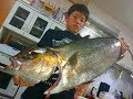 釣堀水宝で真鯛、青物、大爆釣！！幻のエサ 一撃だんご！！