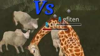 Wild animals online Giraffe Vs Sheep fight #5 screenshot 3