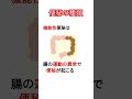 便秘の種類まとめてみた #shorts