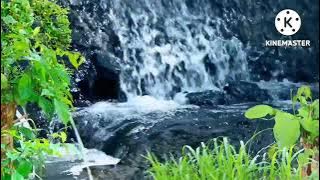 5 MENIT RELAKSASI Suara Gemericik Air| Terapi Air Mengalir Jernih