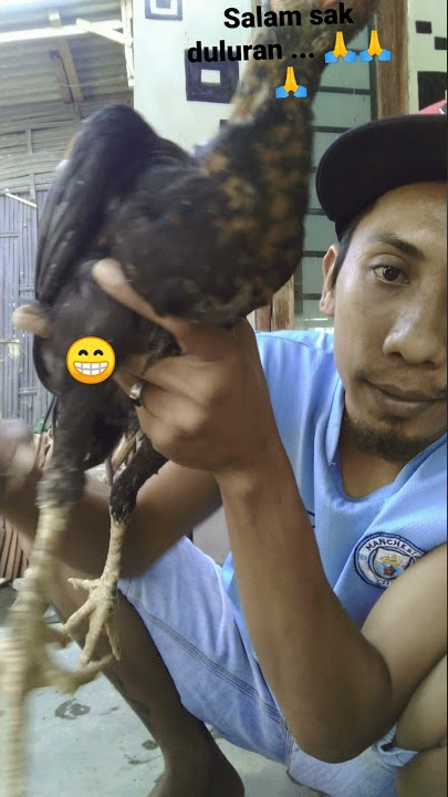 KATURANGGAN ANAK FUUL UBET DAN NOGO TEMURUN !!