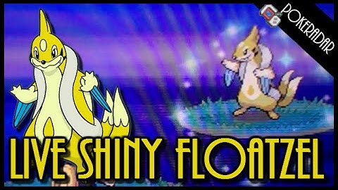 LIVE!! Shiny FLOATZEL + SHINY PATCH at chain of 40!!