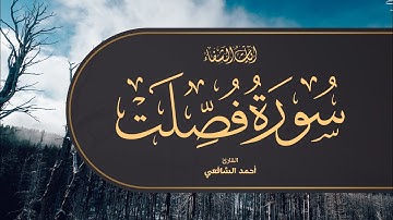 Ahmed Al-Shafey | 041. Fussilat | أحمد الشافعي | سورة فصلت