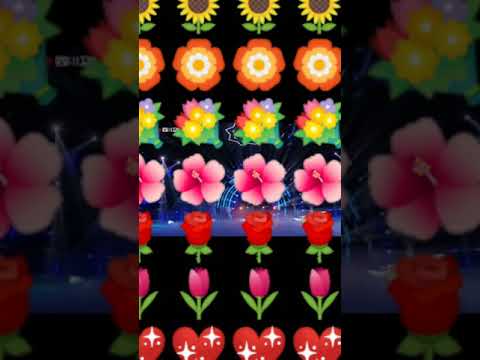 #爱就是那样简单:普巴甲 Love is that simple by: Phurbakyap.  Video Source: Tencent app.
