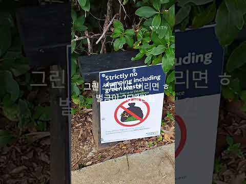 쓰레기 버린다고 벌금이 3만원도 아니고 3만불, 25백만원 ㅎ