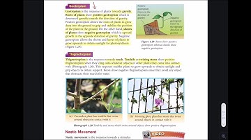 CHAPTER 1: STIMULI AND RESPONSES PART 3 SCIENCE FORM 3